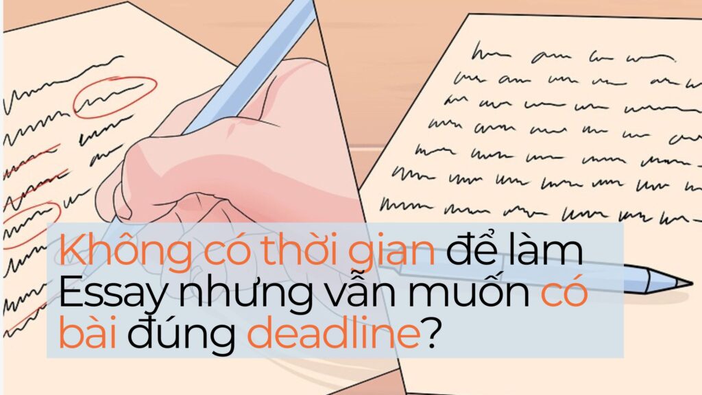 dịch vụ viết essay dành cho sinh viên