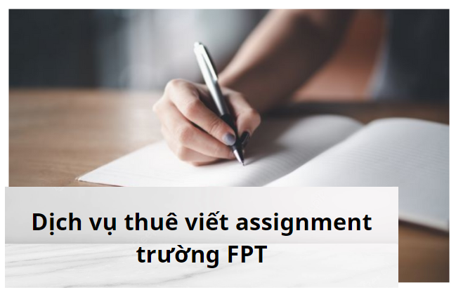 thue-viet-assignment-truong-FPT