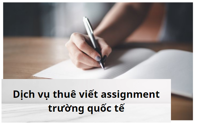 thue-viet-assignment-truong-quoc-te-cung-luanvanonline
