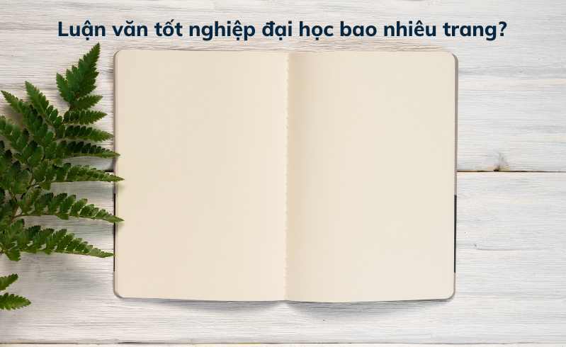 Làm <yoastmark class=