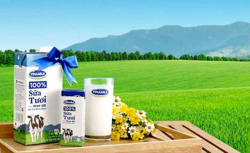 Mẫu tiểu luận marketing căn bản Vinamilk