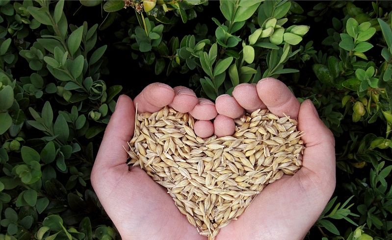 Viết thuê luận văn thạc sĩ kinh tế nông nghiệp
